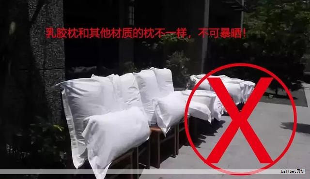 2023年乳胶枕十大品牌排行榜,乳胶枕哪个牌子好