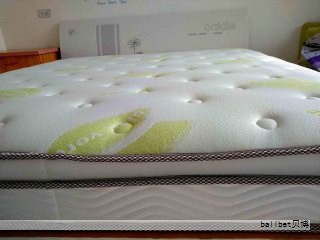 随着2025年的到来,很多人在选购床垫时会优先考虑舒达的乳胶系列。不同型号在材质、设计和支撑结构上各有侧重,究竟哪一款更能缓解全身压力、提升睡眠质量,往往需要结合个人睡眠习惯来对比体验。下面整理出10款舒达乳胶床垫的要点,便于清晰对比,帮助你找到更贴合自己的一款。 随着2025年的到来,很多人在选购床垫时会优先考虑舒达的乳胶系列。不同型号在材质、设计和支撑结构上各有侧重,究竟哪一款更能缓解全身压力、提升睡眠质量,往往需要结合个人睡眠习惯来对比体验。下面整理出10款舒达乳胶床垫的要点,便于清晰对比,帮助你找到更贴合自己的一款。