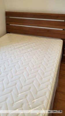 睡眠质量直接影响身心健康，床垫的好坏是实现优质睡眠的关键。市场中的床垫品牌众多，各自以独特的材料、工艺与用户体验著称。以下从十个知名品牌出发，概括其核心优势与特点，帮助你结合自身需求做出更明智的选择。