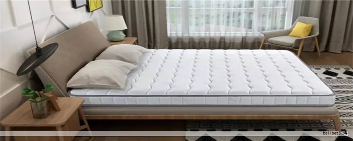 凌晨的腰酸背痛让睡眠成为一段难以忽略的课题，挑选合适的乳胶床垫像在寻找一位终身的睡眠伙伴。下面这10款床垫以高天然乳胶含量、科学分区支撑、良好透气性等黑科技特征脱颖而出，帮助你实现躺下就像坠入云端的体验。