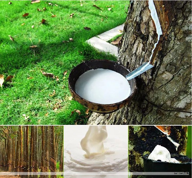 选购乳胶床垫时,消费者往往面临品牌与型号繁多的困惑。要判断质量与性价比,关键指标包括材料来源与成分、人体工学设计、透气性与排湿能力、独立支撑系统,以及防菌防螨等健康功能。下列几款在市场上口碑较好,兼具舒适与性价比的乳胶床垫,供你在不同需求下进行参考与对比。 选购乳胶床垫时,消费者往往面临品牌与型号繁多的困惑。要判断质量与性价比,关键指标包括材料来源与成分、人体工学设计、透气性与排湿能力、独立支撑系统,以及防菌防螨等健康功能。下列几款在市场上口碑较好,兼具舒适与性价比的乳胶床垫,供你在不同需求下进行参考与对比。